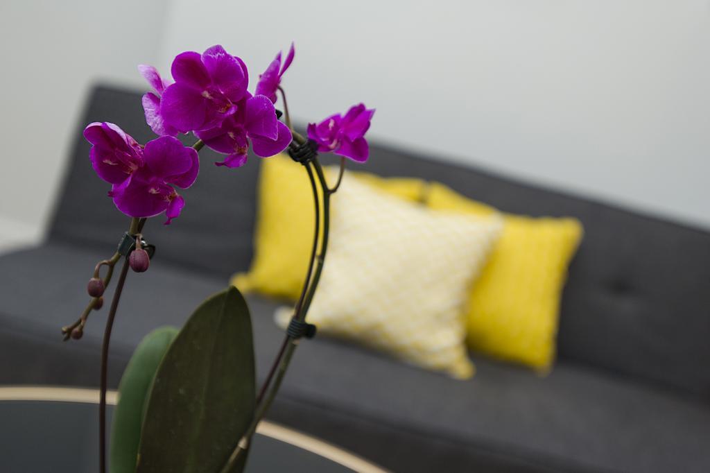 Market Street Apartments - City Centre Modern 1Bedroom Apartments With New Wifi And Very Close To Tram Nottingham Buitenkant foto